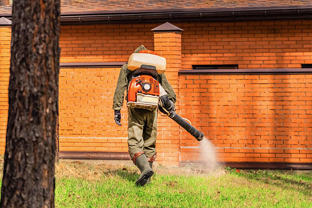 Trusted Rodent Control service in Blue Bell, PA - Nex Pest Control
